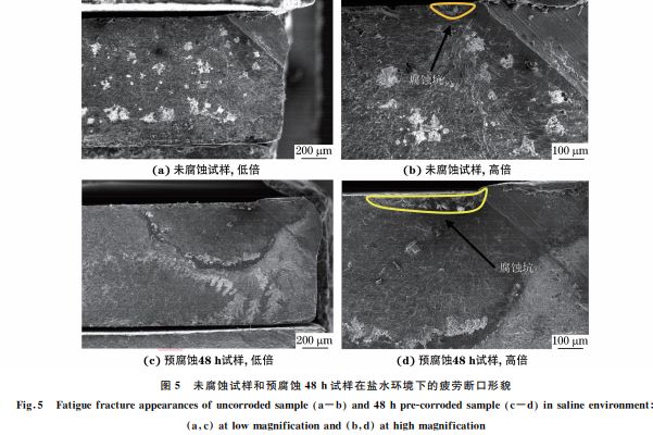 圖５ 未腐蝕試樣和預腐蝕４８h試樣在鹽水環(huán)境下的疲勞斷口形貌