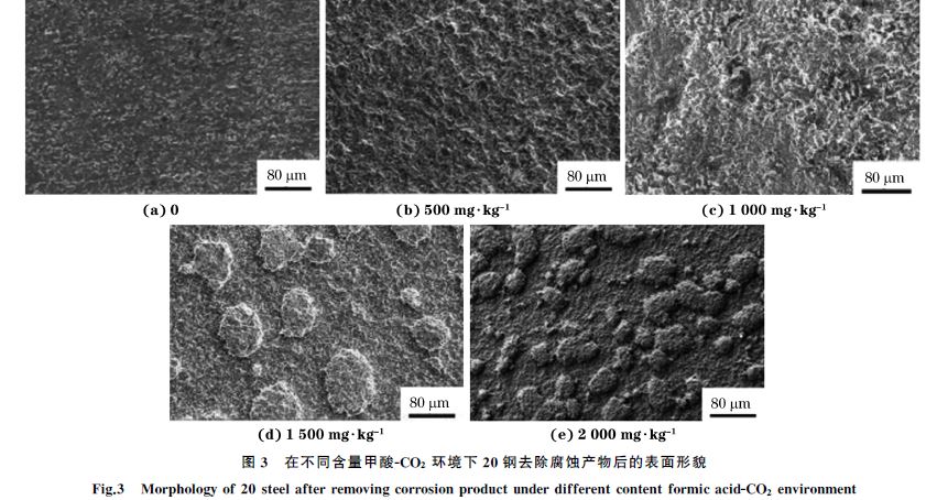 圖３ 在不同含量甲酸ＧCO２ 環境下２０鋼去除腐蝕產物后的表面形貌